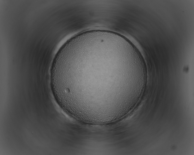 X0000091371341200708311517