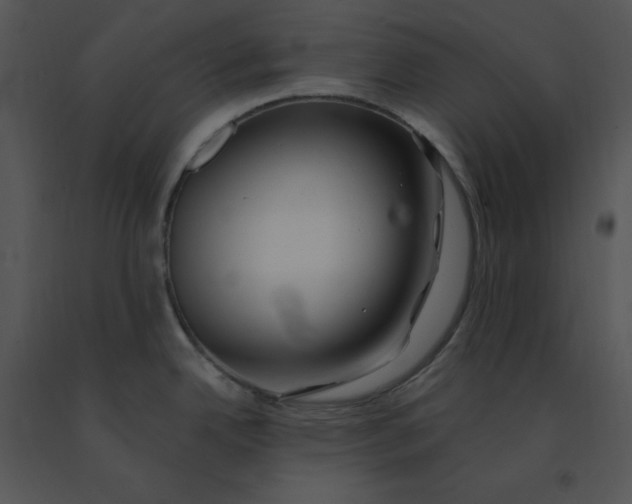 X0000091371342200708311517