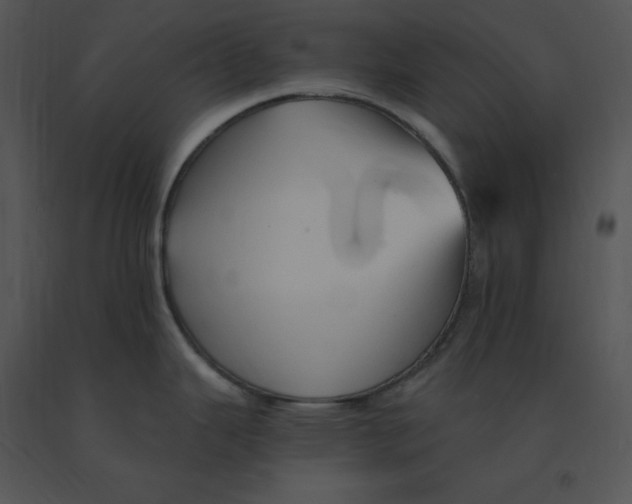 X0000091371343200708311517