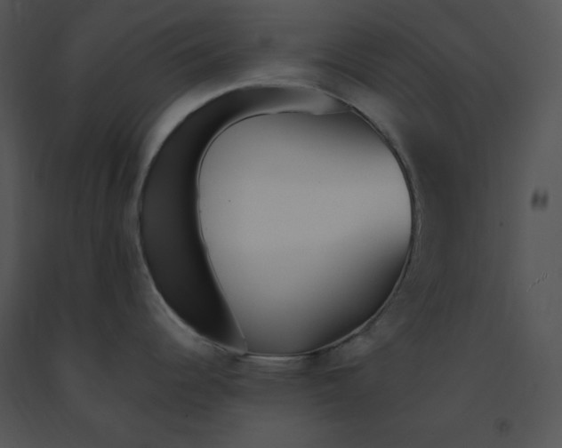 X0000091371344200708311517