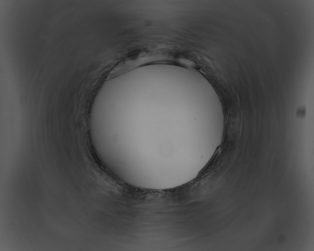 X0000091371345200708311517