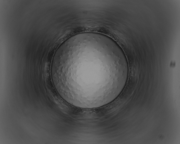 X0000091371346200708311517