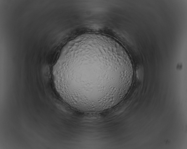 X0000091371347200708311517