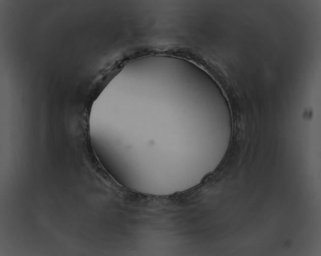 X0000091371349200708311517