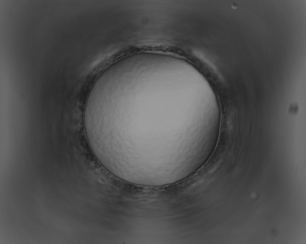 X0000091371350200708311517