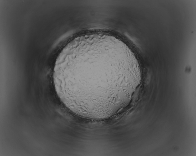 X0000091371351200708311517