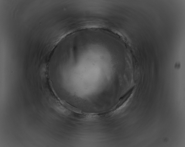 X0000091371353200708311517