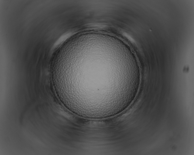 X0000091371354200708311517