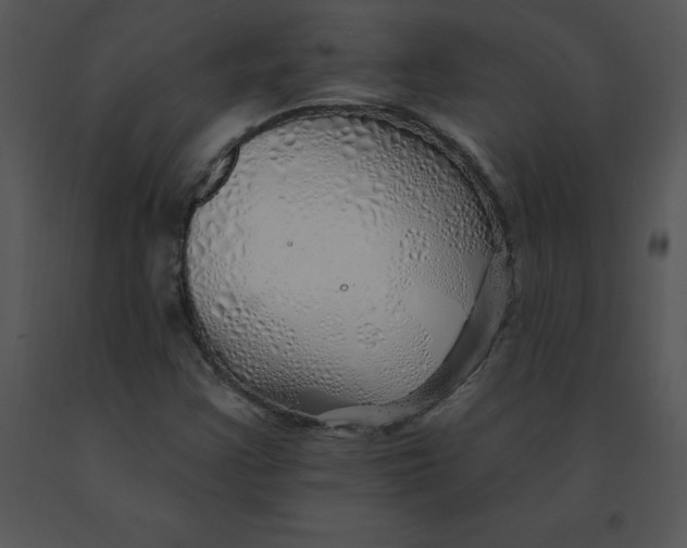 X0000091371355200708311517