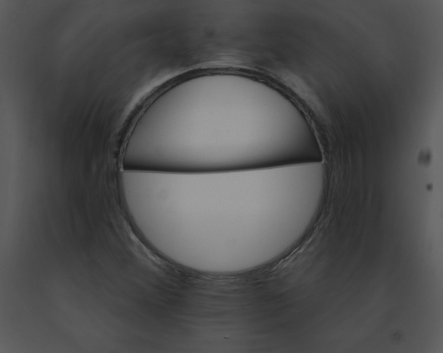 X0000091371356200708311517