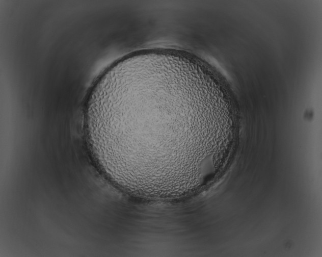 X0000091371358200708311517