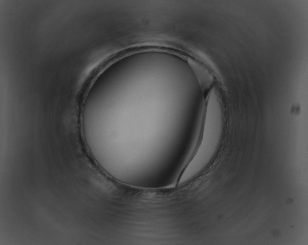 X0000091371360200708311517