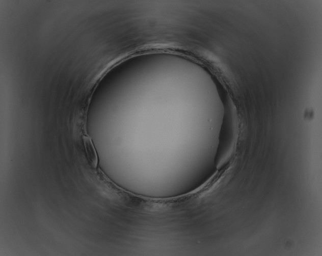 X0000091371361200708311517