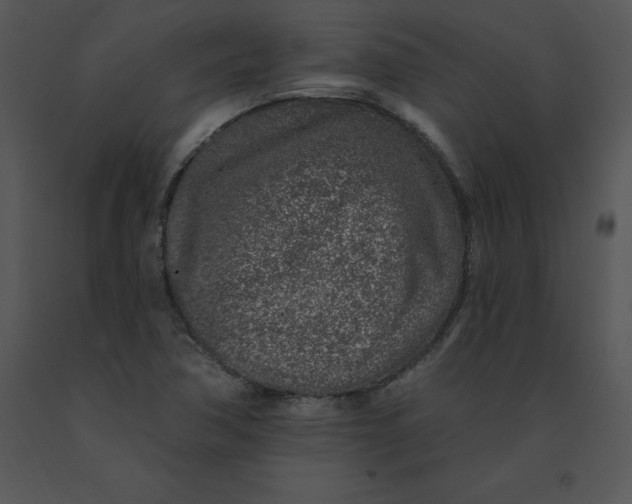 X0000091371362200708311517