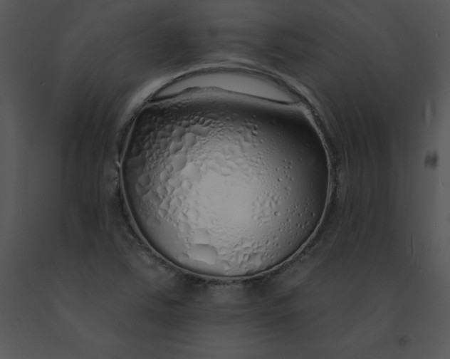 X0000091371363200708311516