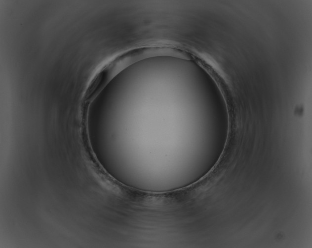 X0000091371364200708311516