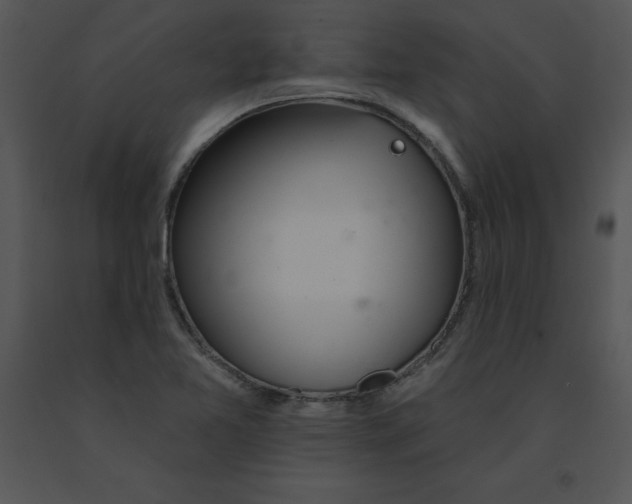 X0000091371365200708311516