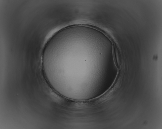 X0000091371366200708311516