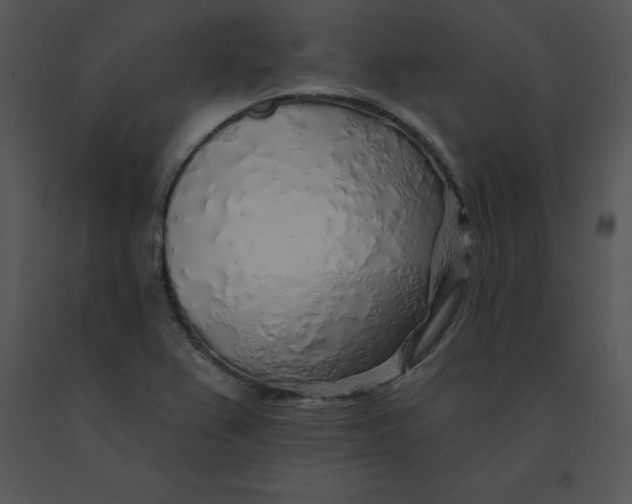 X0000091371367200708311516