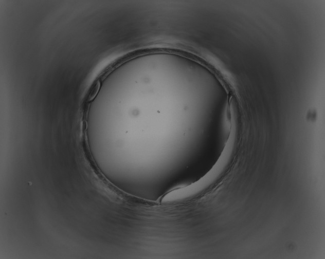 X0000091371368200708311516