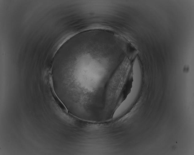 X0000091371369200708311516