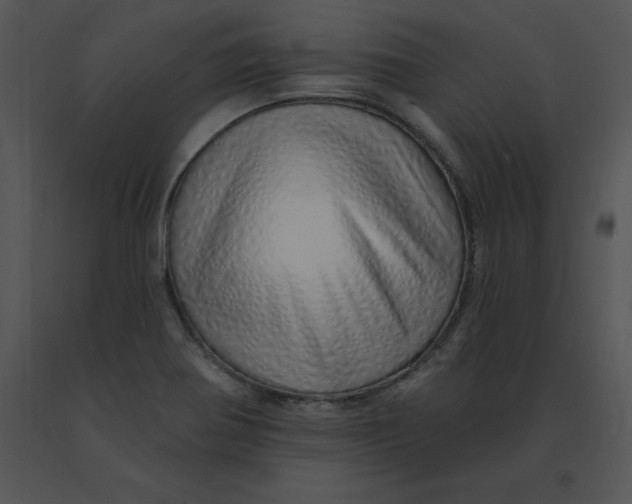 X0000091371370200708311516