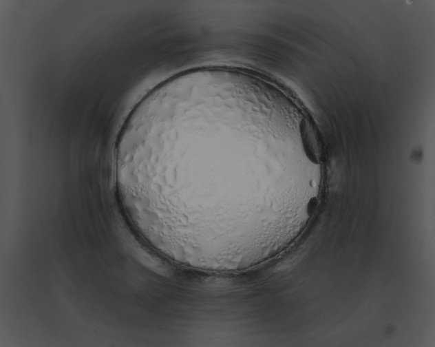 X0000091371371200708311516