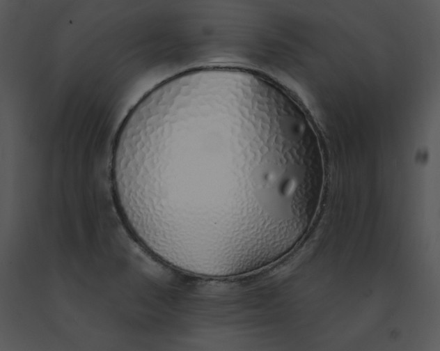 X0000091371374200708311516