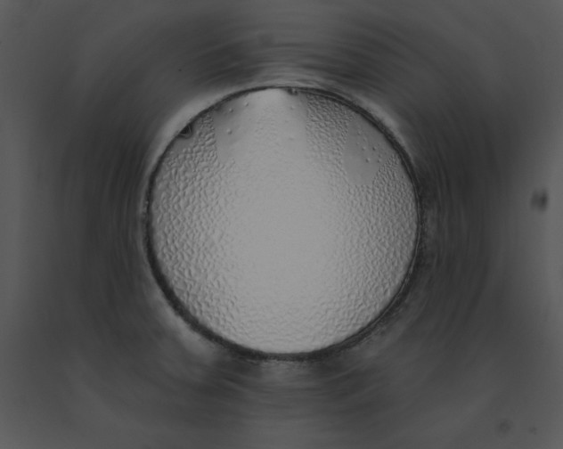 X0000091371379200708311516