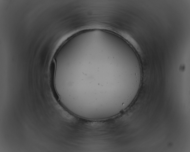 X0000091371380200708311516