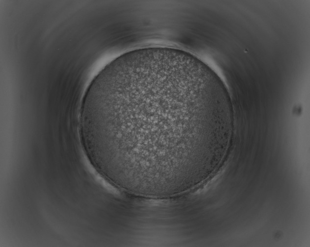 X0000091371381200708311516