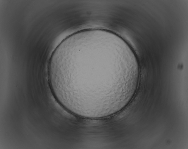 X0000091371382200708311516