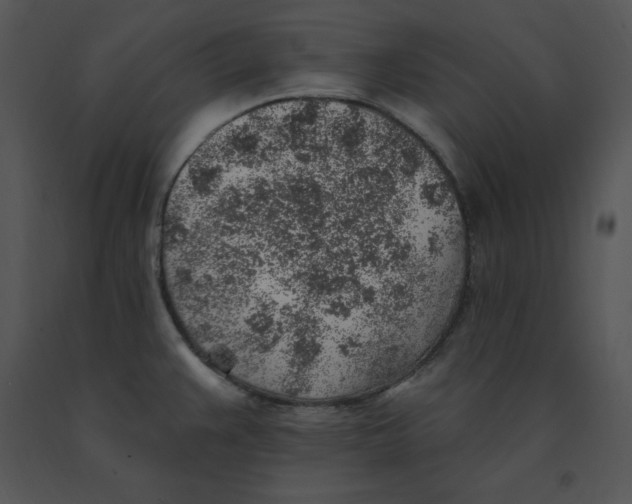 X0000091371383200708311516