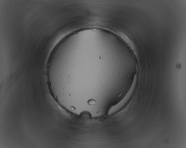 X0000091371384200708311516