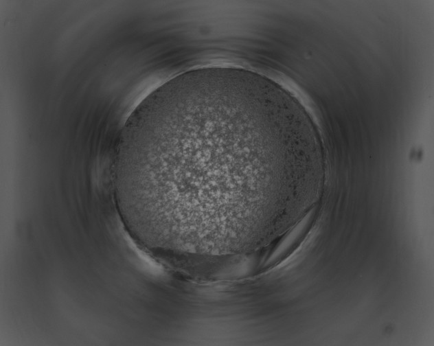 X0000091371385200708311516