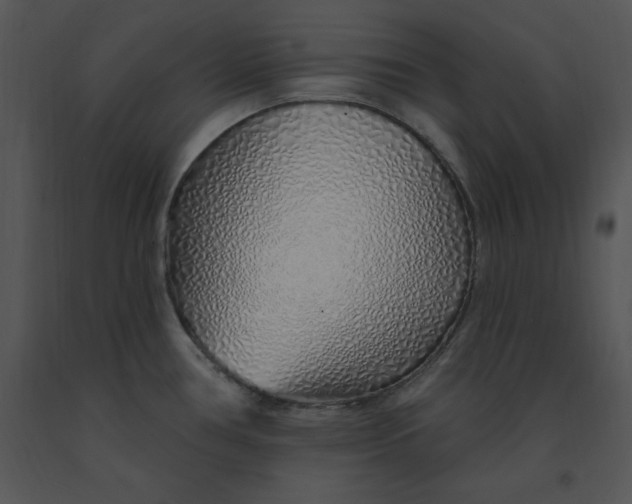 X0000091371386200708311516