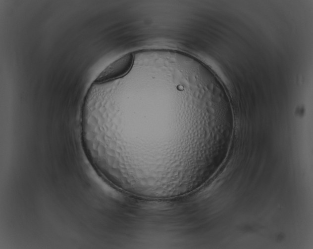 X0000091371387200708311516