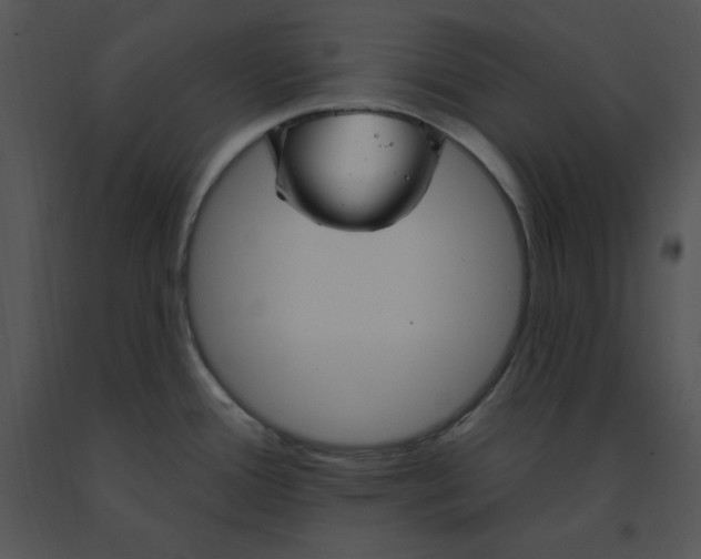 X0000091371388200708311516