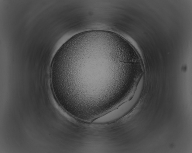 X0000091371389200708311516