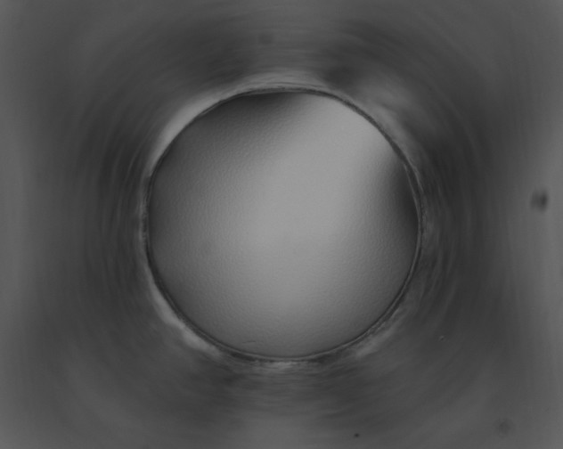 X0000091371390200708311516