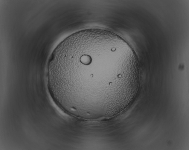 X0000091371391200708311516