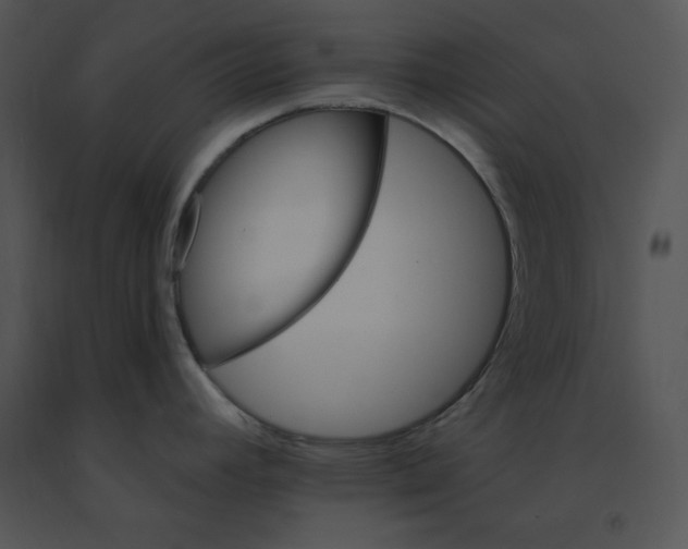 X0000091371392200708311516