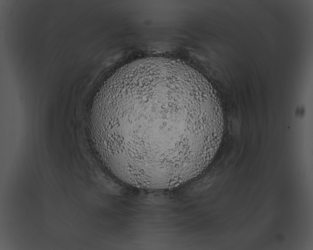 X0000091371393200708311516