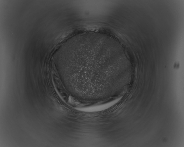 X0000091371394200708311516