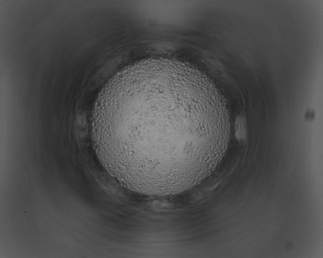 X0000091371395200708311516