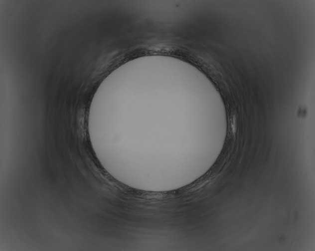 X0000091371396200708311516