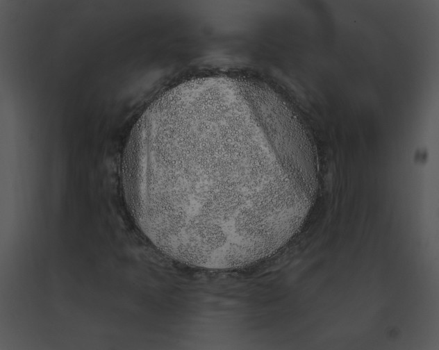 X0000091371397200708311516