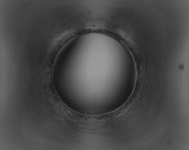 X0000091371398200708311516