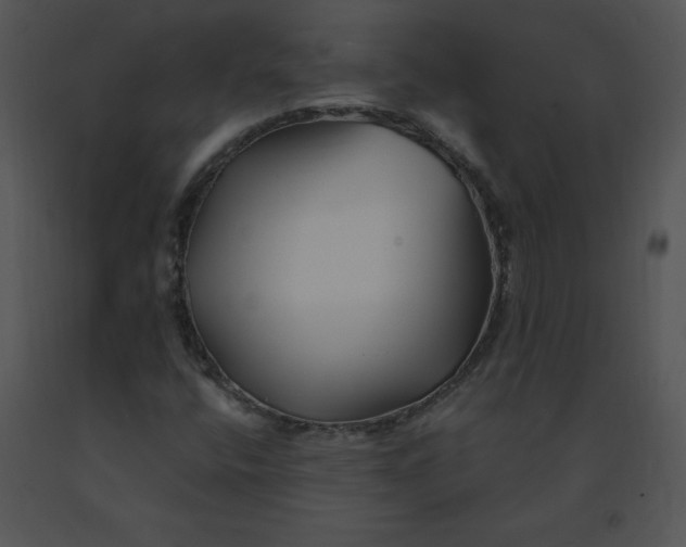 X0000091371400200708311516