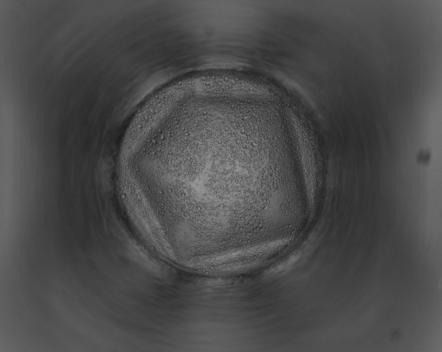 X0000091371401200708311516